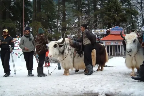 The Ultimate Manali Volvo Express