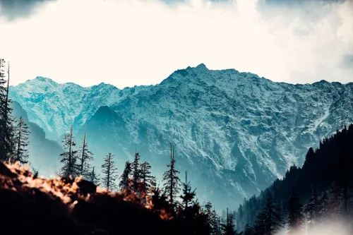 Himachal Honeymoon Tour